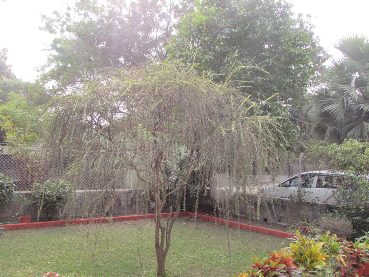 Aayesh Bed & Breakfast Shānti Niketan Esterno foto